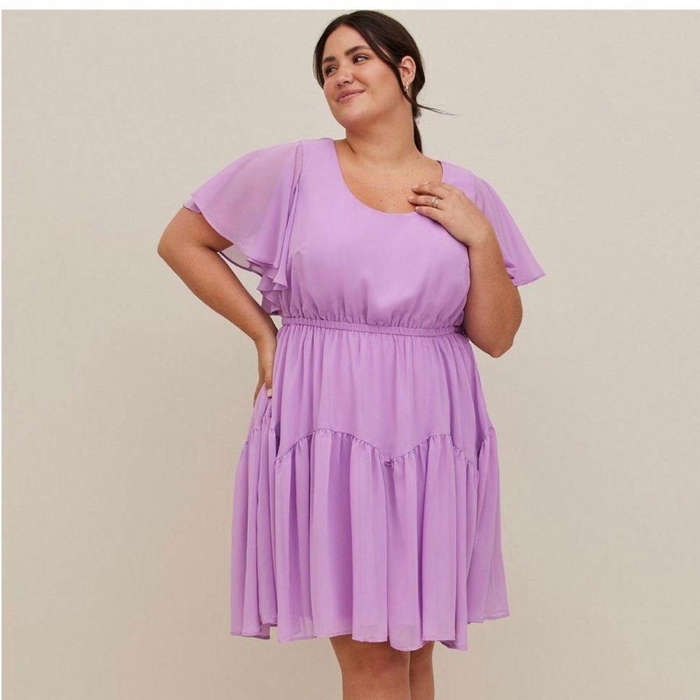 Mini Chiffon Ruffle Hem Skater Dress
